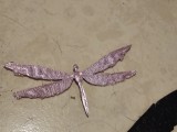 looks like a dragon fly-1