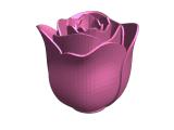 a rose by any other name is just as sweet-0