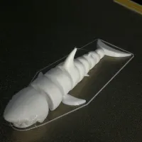 Articulated Shark-4