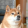 avatar of CSH_NR