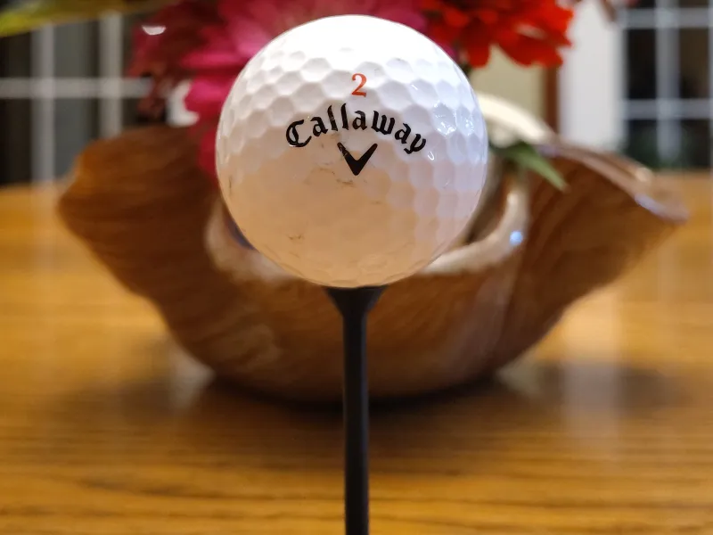 Golf tee (No supports)