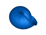 hermit crab shell -0