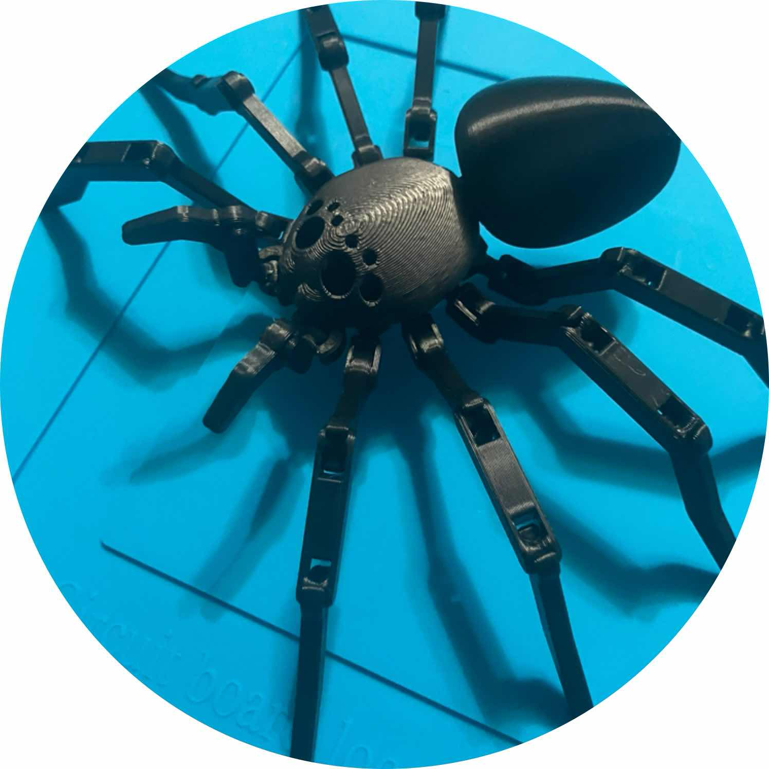 avatar of Spider00100