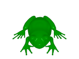 bull frog-0