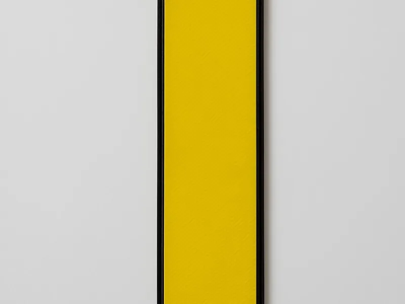 Plane Number Plate