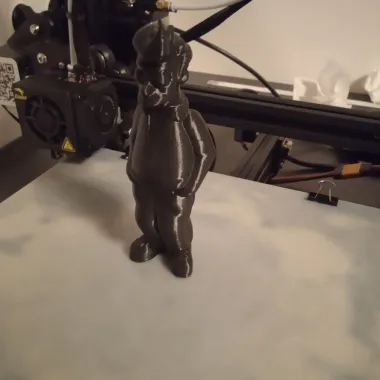 cat-1