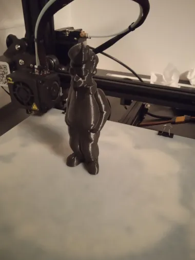 cat-1