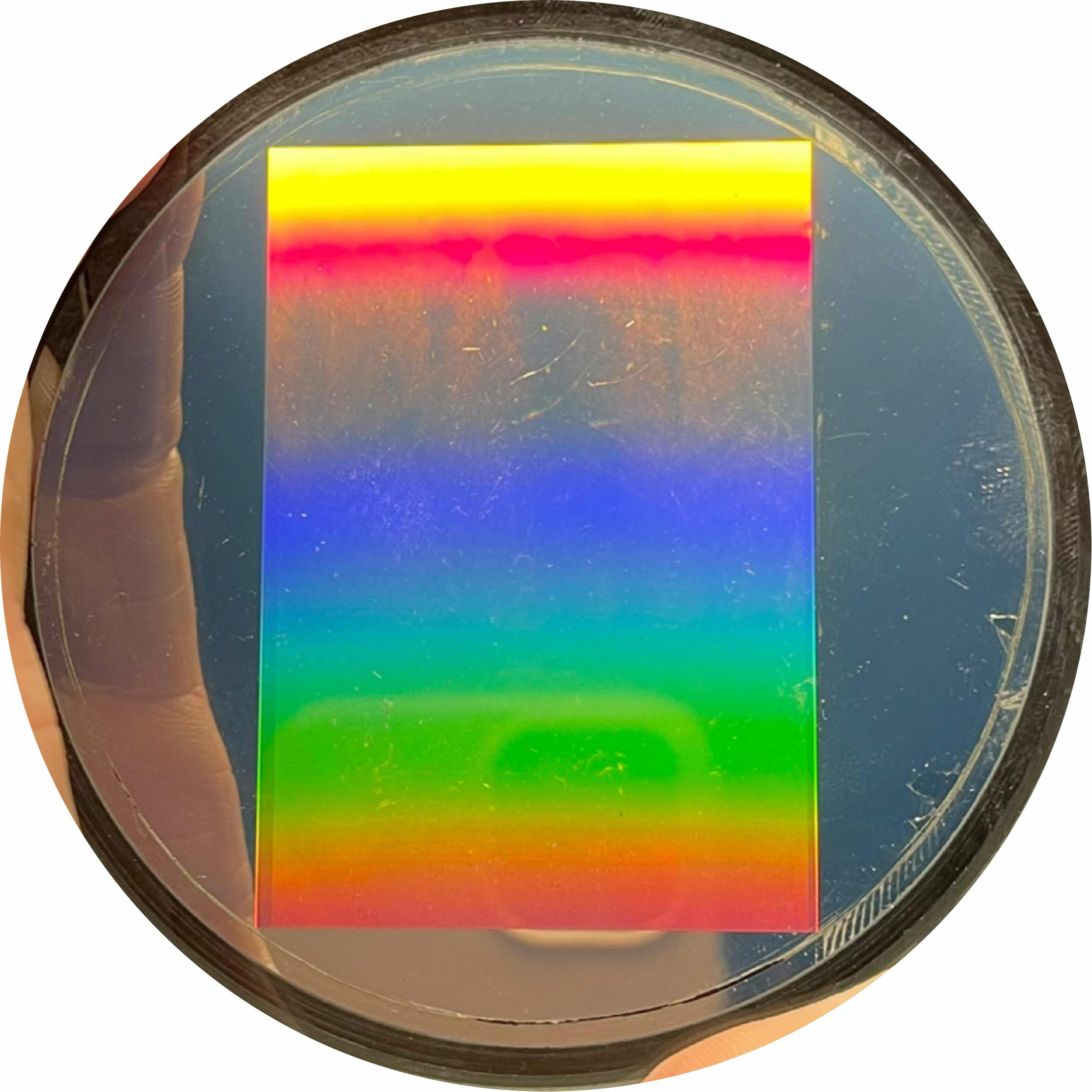 avatar of christmasalien