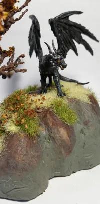 Black Dragon-0