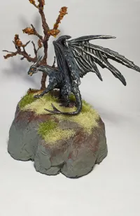 Black Dragon-3