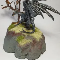 Black Dragon-3