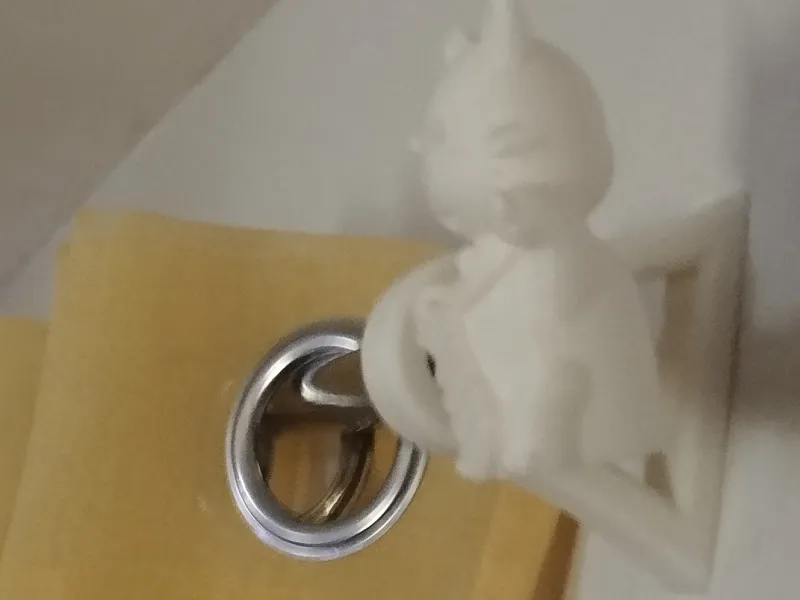 gatocprtina