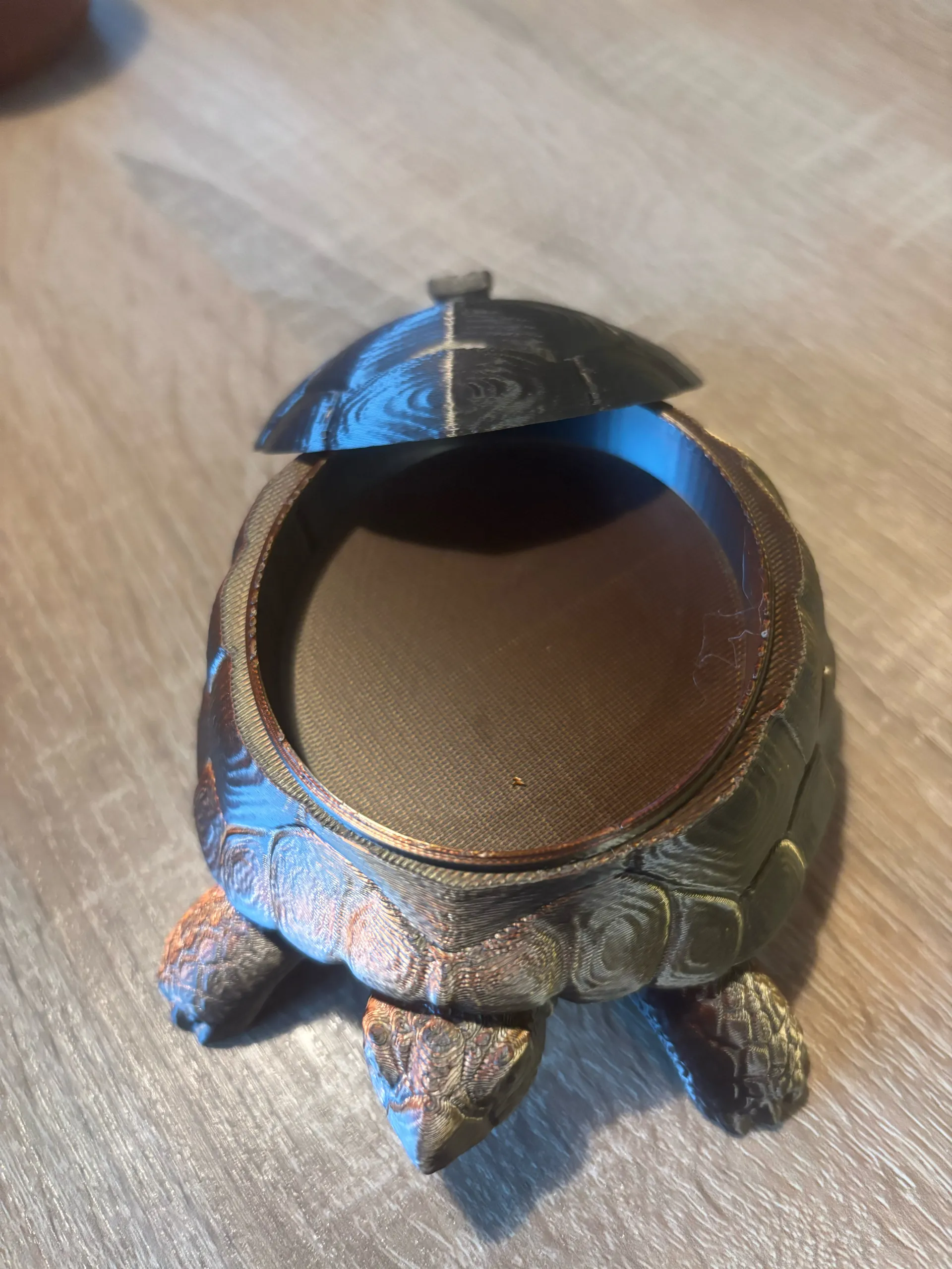 tortuga joyero-1