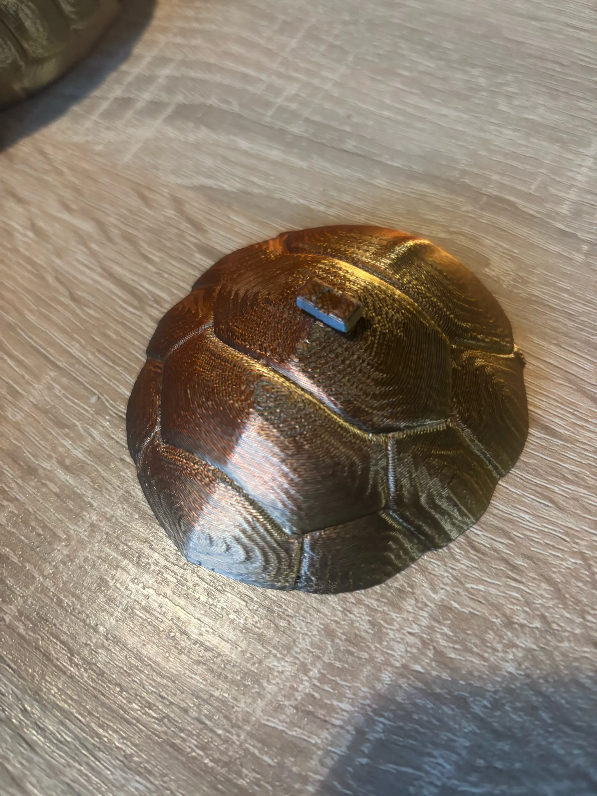 tapa tortuga -0