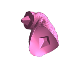 Buste de prédateur-5