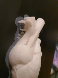 Anatomical Heart Vase - Stand Alone-1