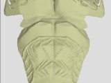 TPU 90A.LEGIT PERFORATED Armour 🛡️-7