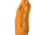 modelo odontologia inlay-0
