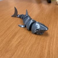 Shark-2