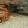 avatar of AppleSheep3644