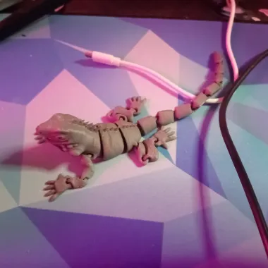 Flexy Iguana-1