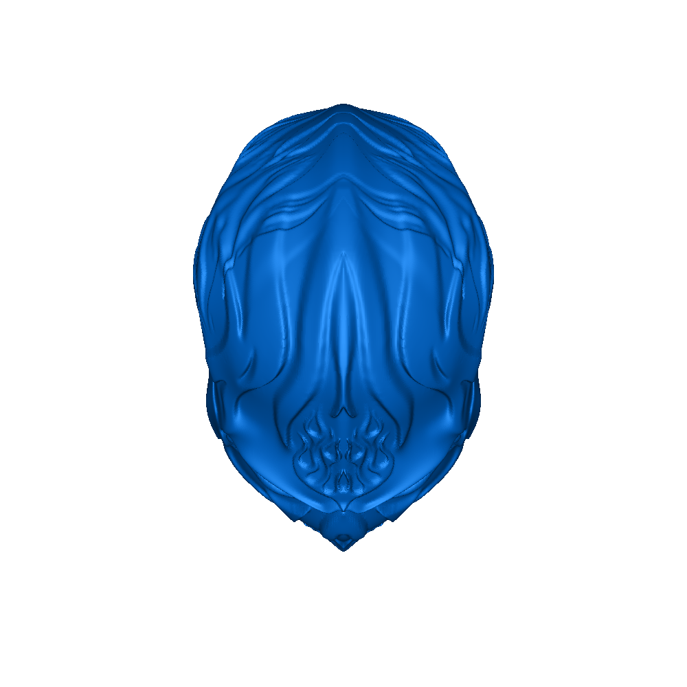 AoT Ghost Rider (Desert storm) 