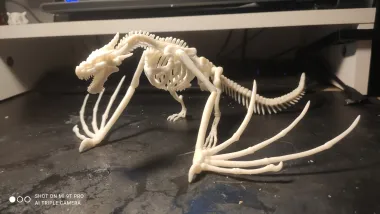 Dragon Esqueleto-0