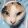 avatar of KDPhantom