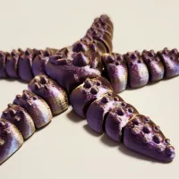 CUTE FLEXI STARFISH-4