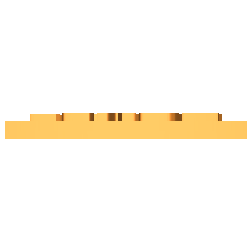 Santa Cruz mtb keychain logo