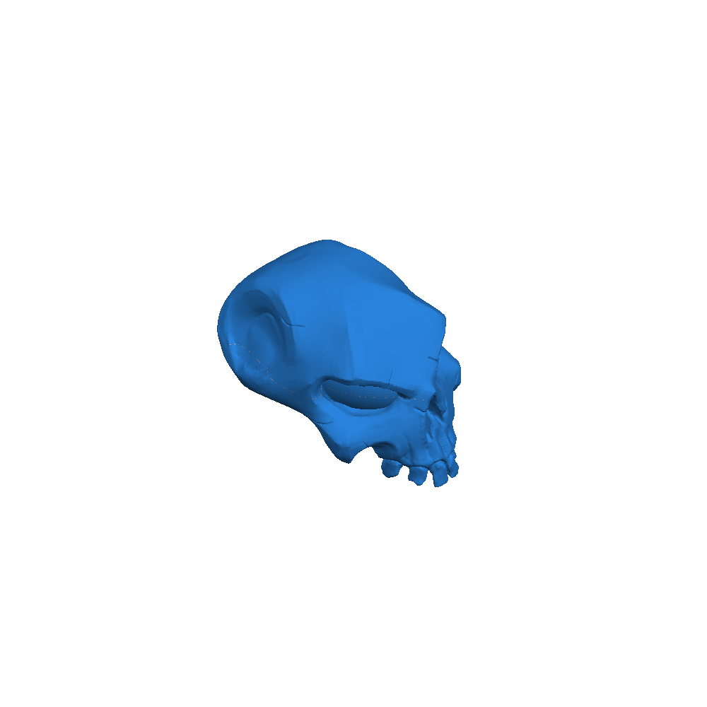 Bounty Skull Sea of thieves