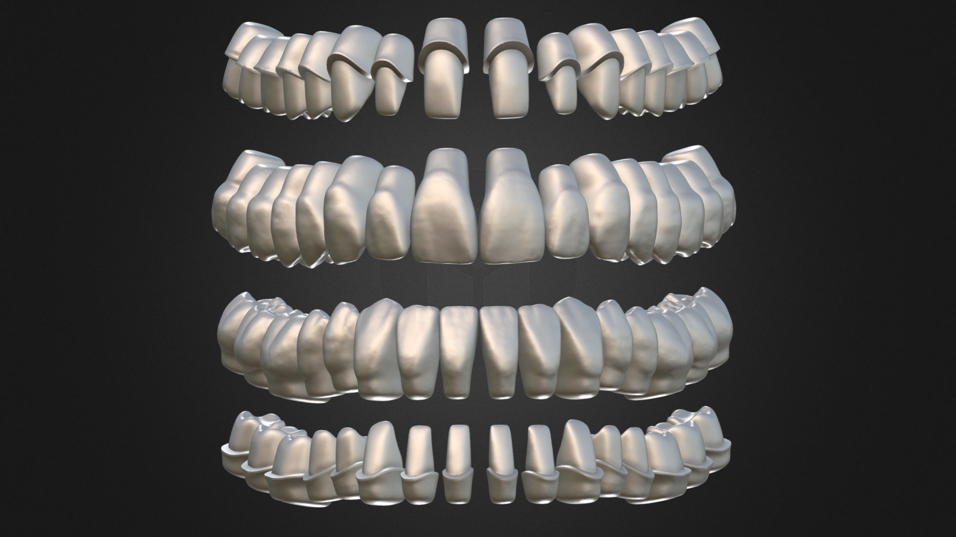teeth model-0