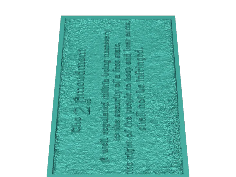 The 2nd ammendment 