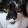 avatar of Lucy Williams