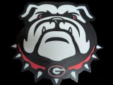 UGA Emblem -2