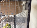 Corner Budgie Box-4