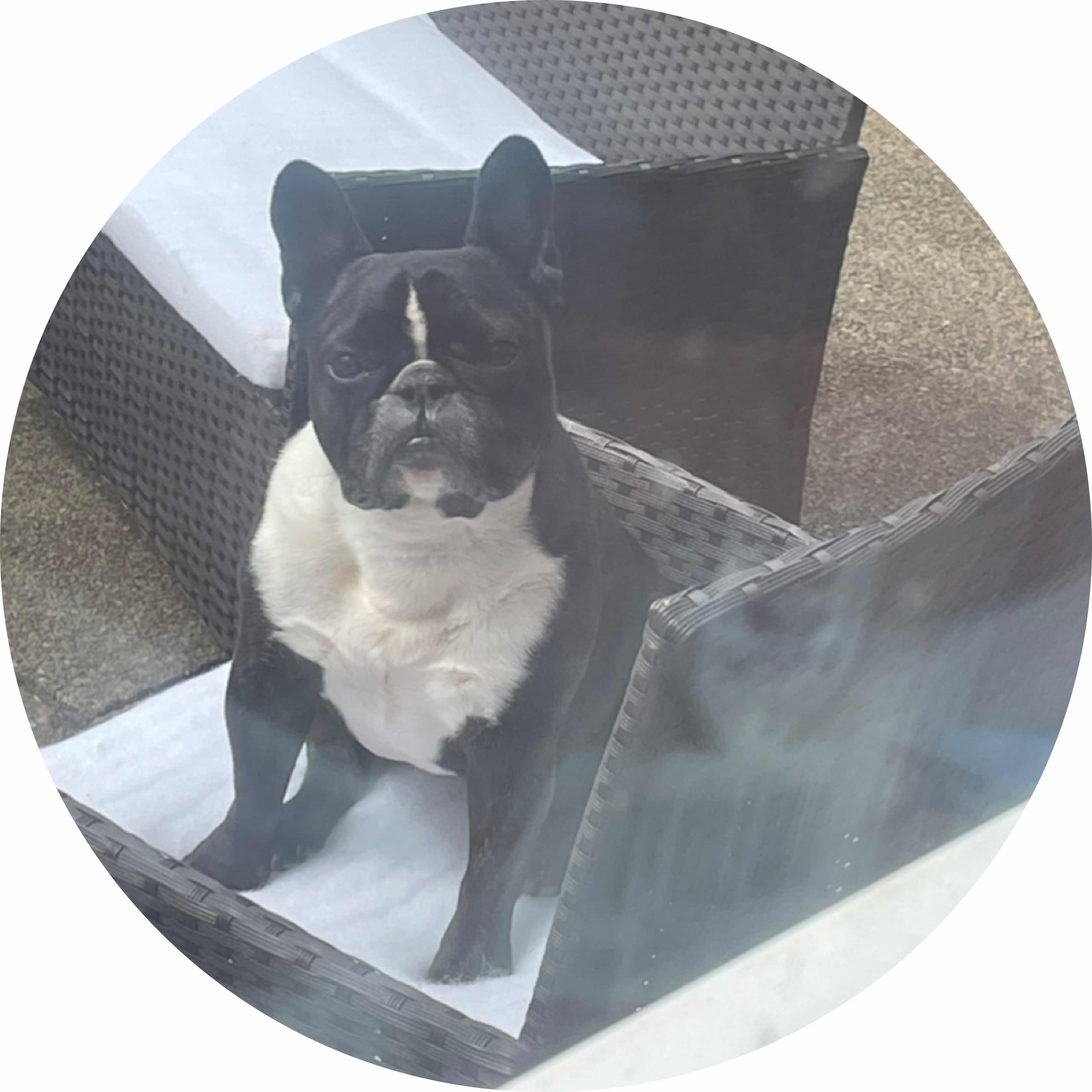 avatar of Jammie_dodger