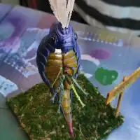 INSECTO BILLYWIG. HARRY POTTER-2