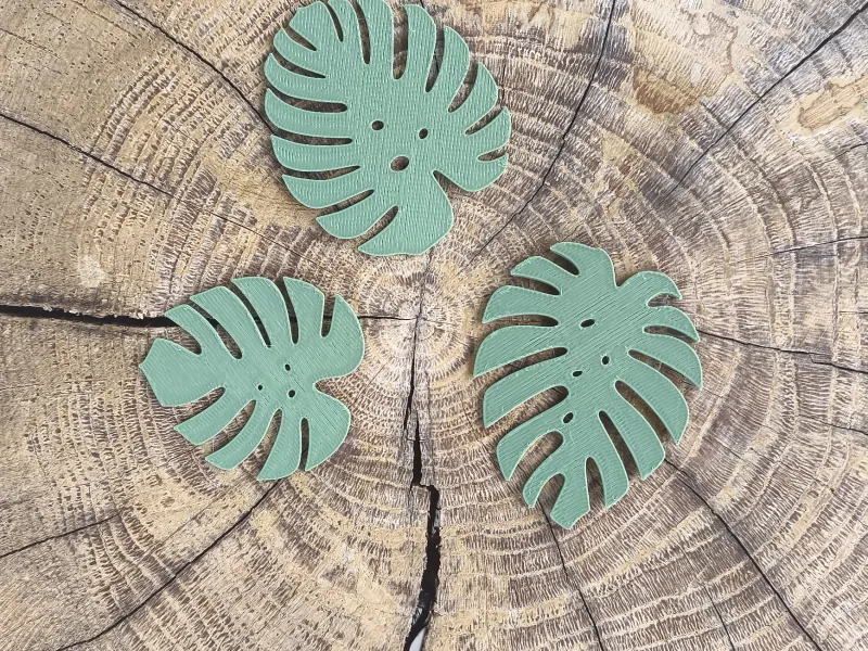 Monstera bladeren