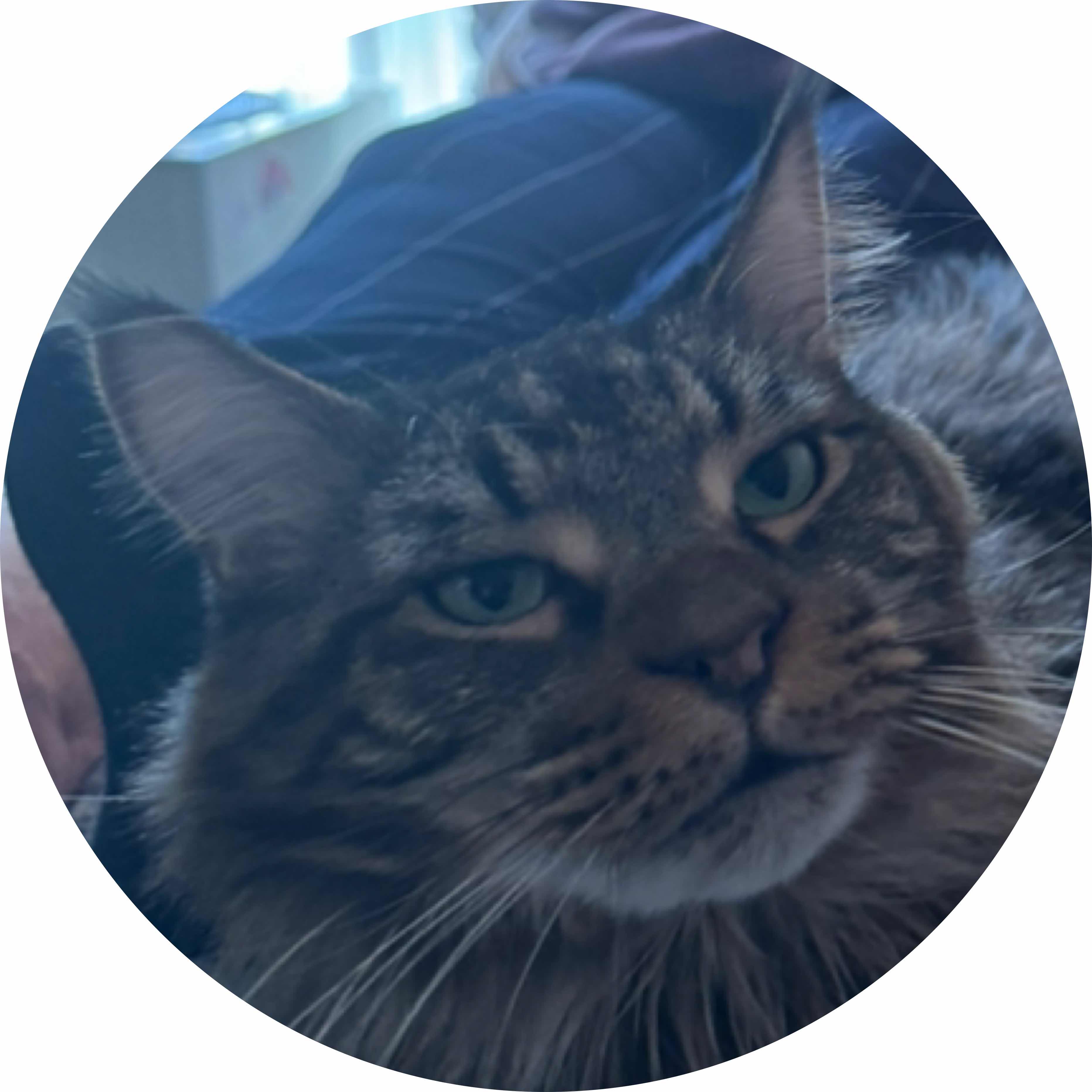 avatar of Gunnar s