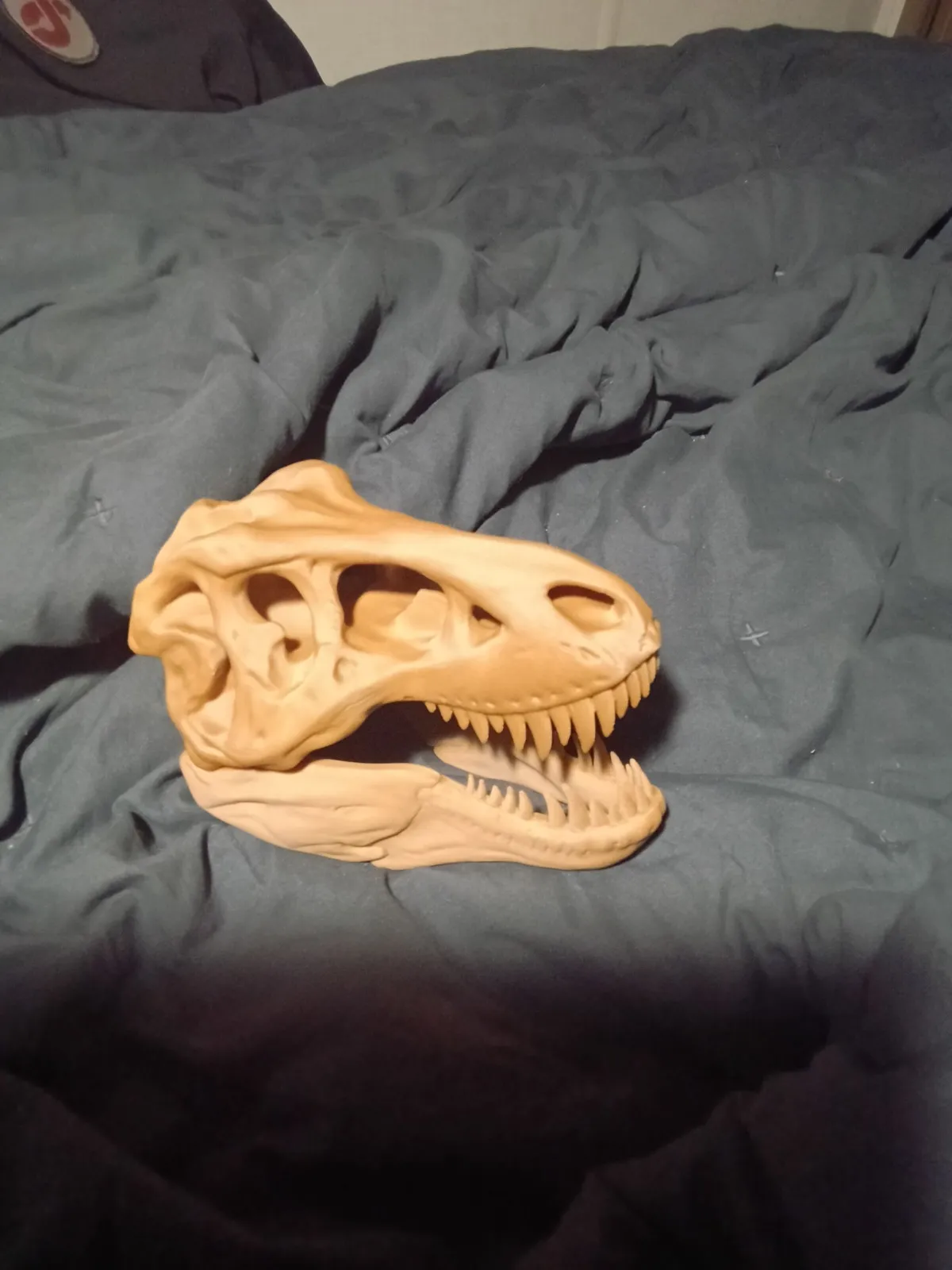 T-Rex Skull-2
