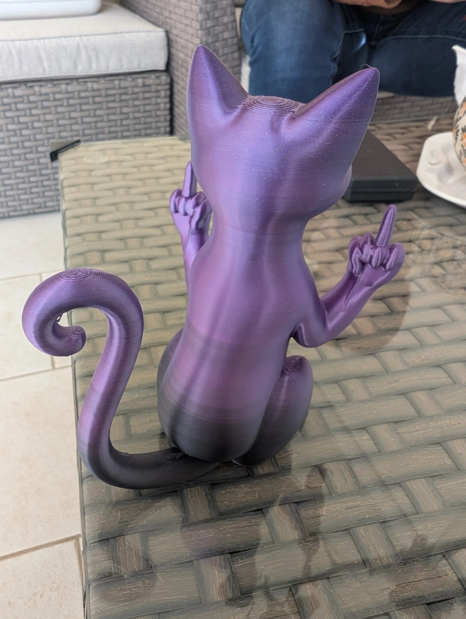 Middle finger cat-1