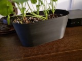 plant pot-2