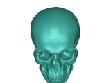 Human skull -0