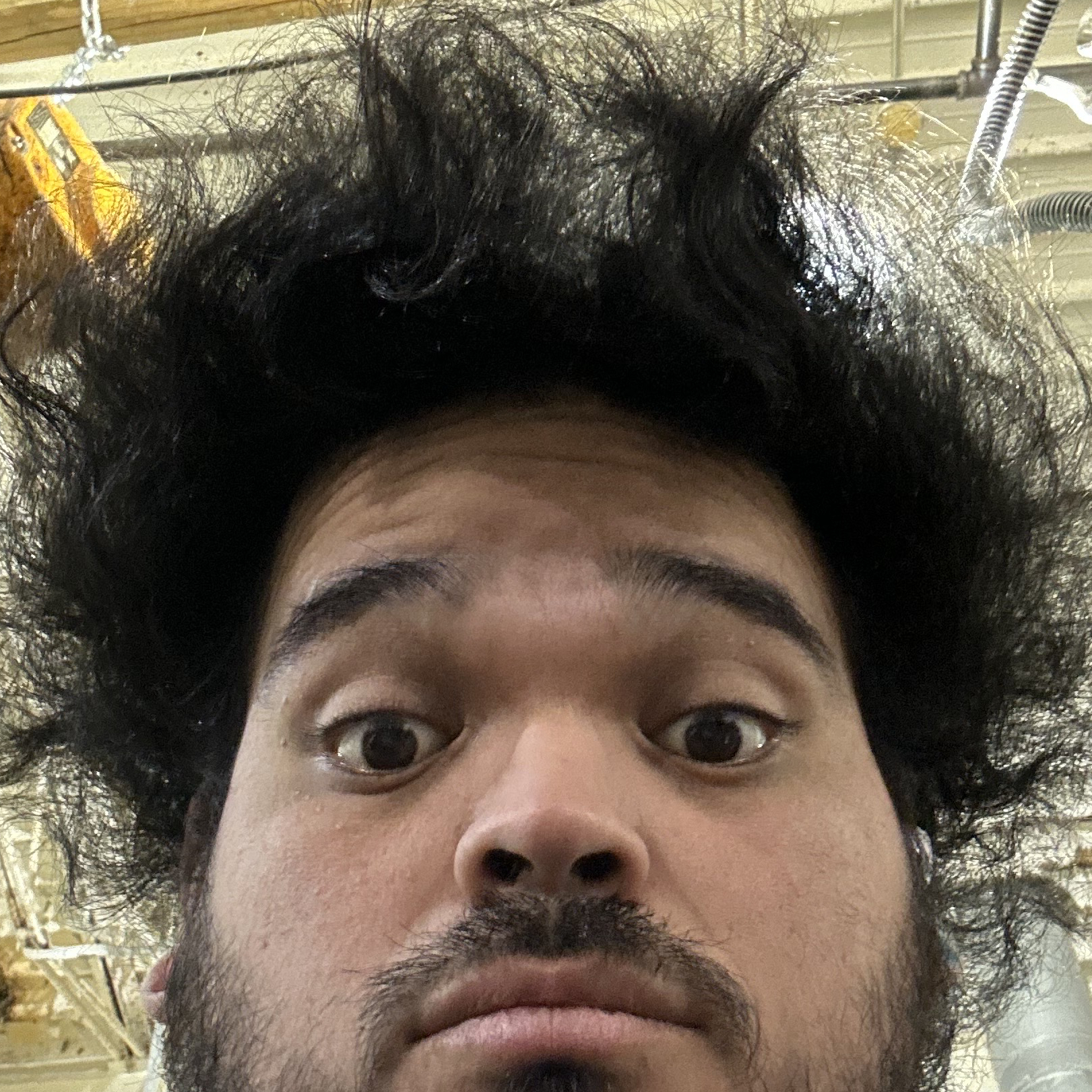 avatar of Chickenfarmer