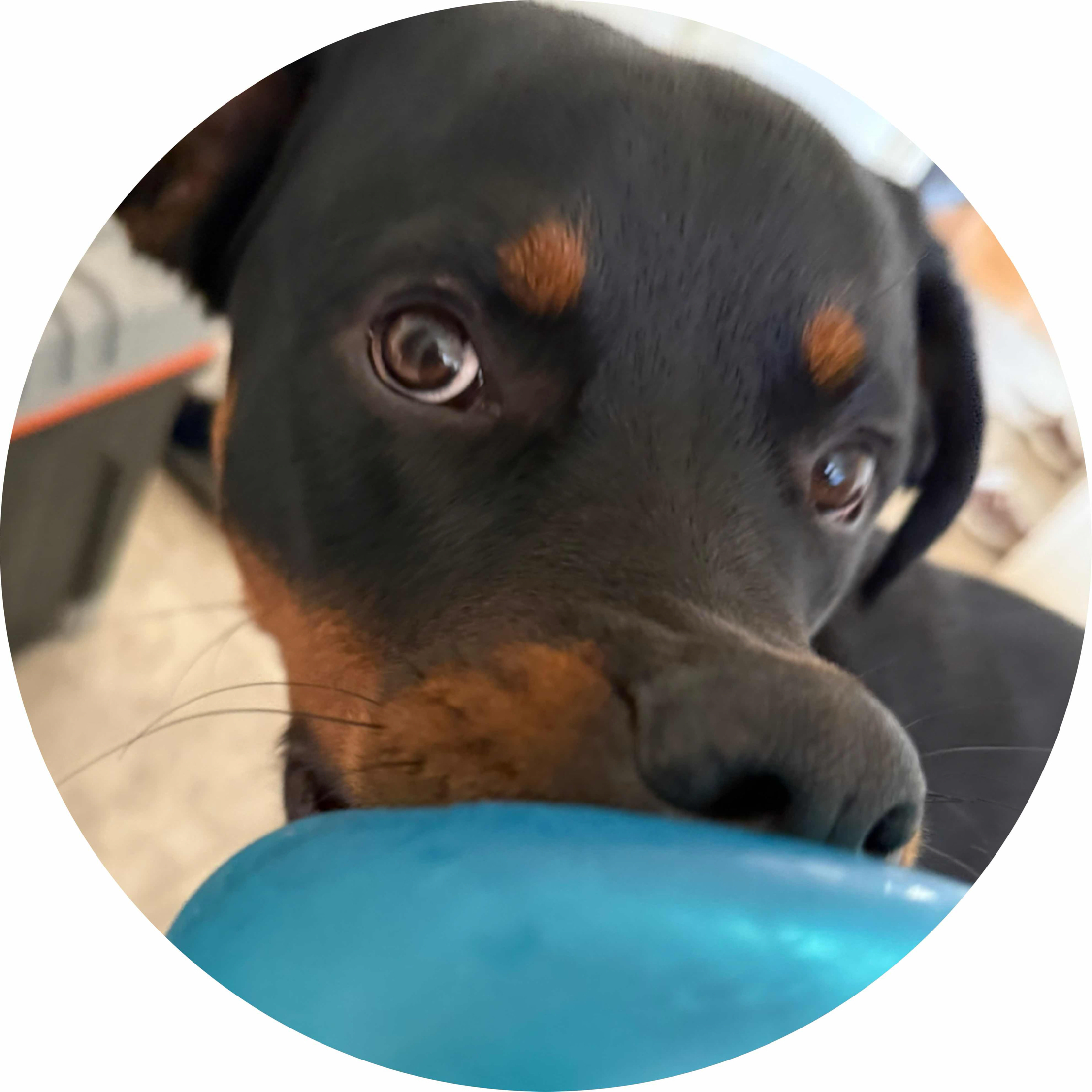 avatar of Olive_Barley