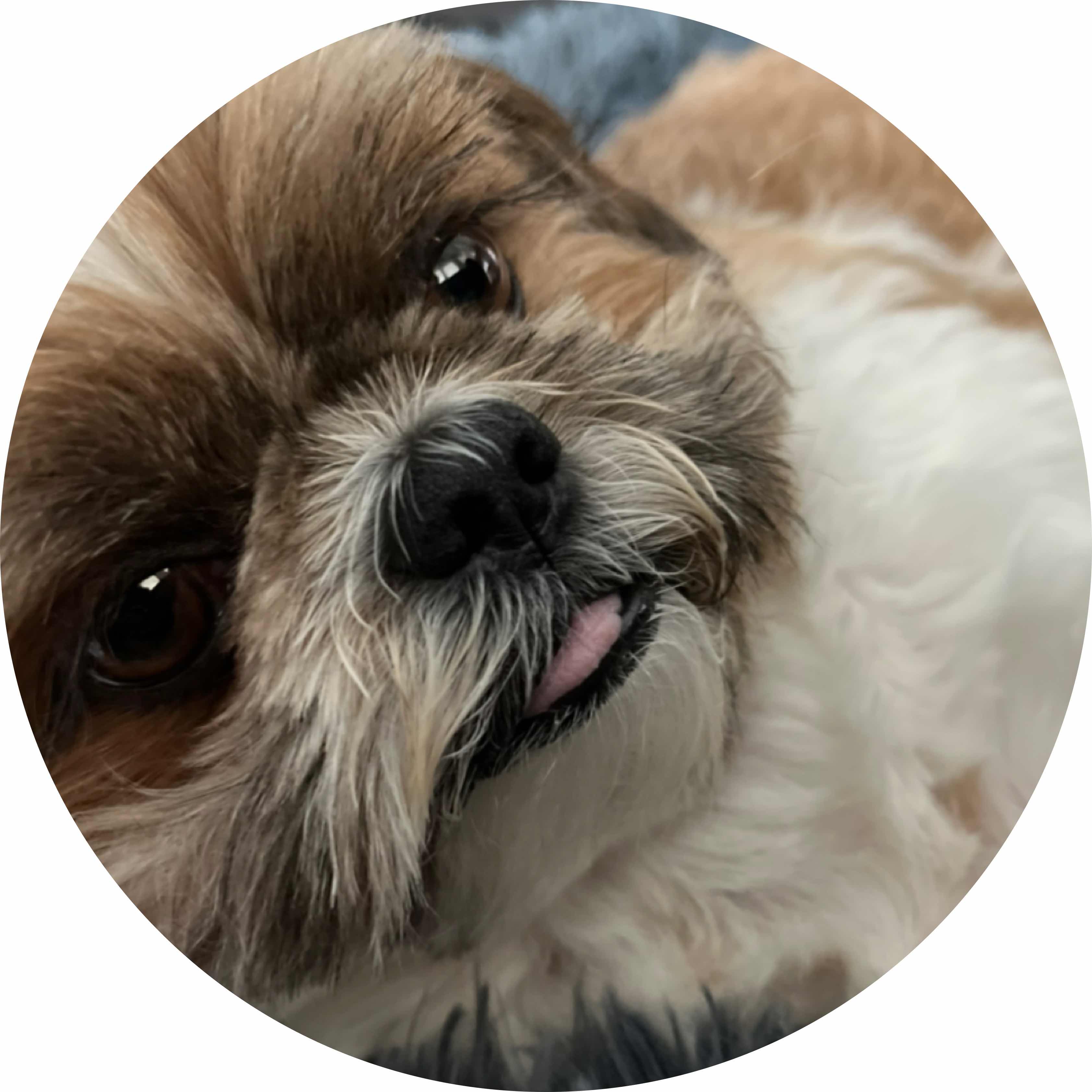 avatar of BENJILUVER