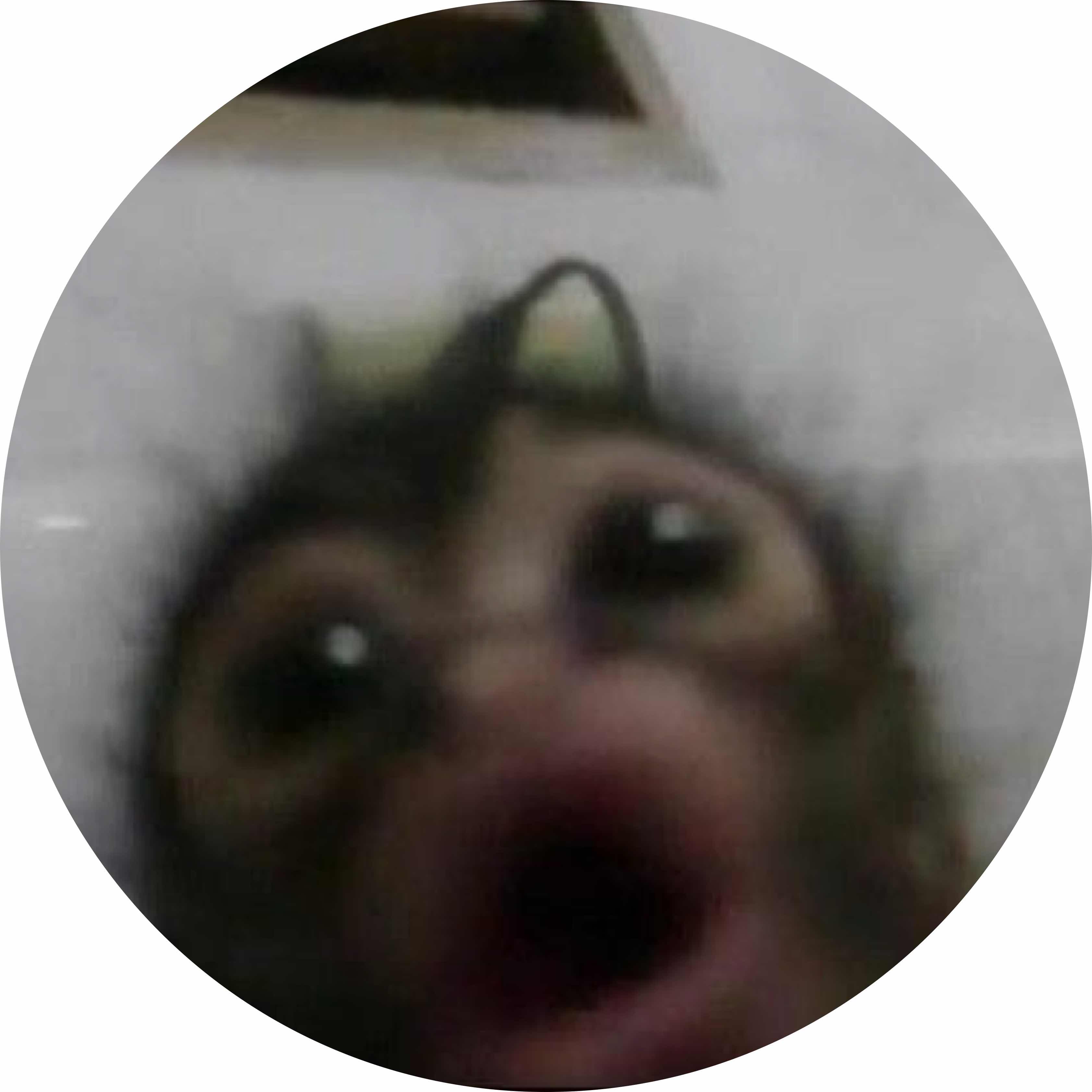 avatar of Swaggystarz