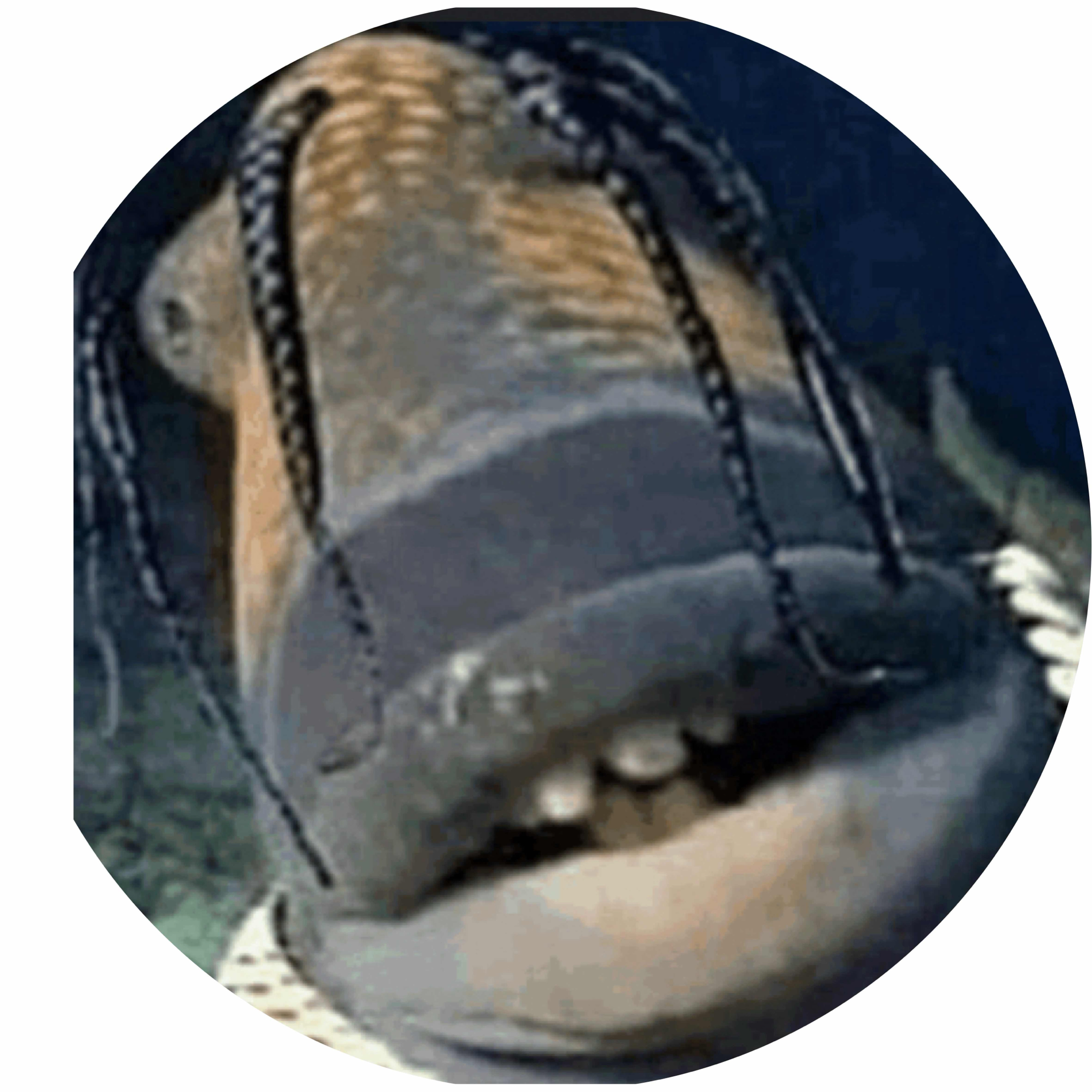 avatar of JustAChillGuy
