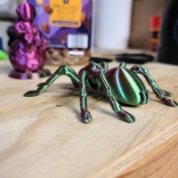 Tarantula Spider-6